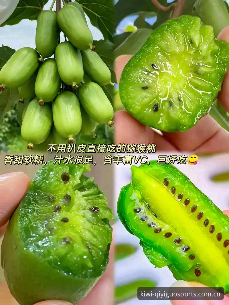 奇异果体育官方版本安全吗？实测注册与下载操作教程